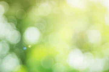 Abstract blurred green color for background, Blur leaves at the health garden outdoor and white bubble focus texture.