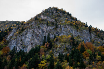 Paysage de montagne à l'automne.