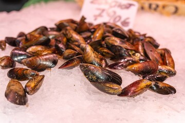 Fresh French mussels on ice in a fishmonger's shop at the Boqueria market in Barcelona (Spain), selective approach.