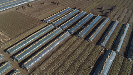 Vegetable arch shed in rural China