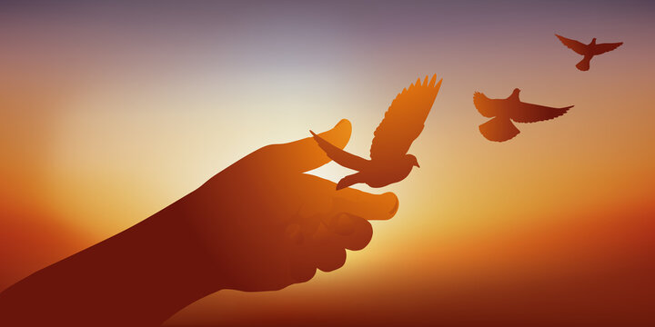 Concept de la paix et de la liberté avec le symbole d’une main qui libère des colombes qui s’envole au soleil couchant.