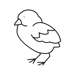 chick bird line icon vector illustration