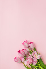 Fototapeta na wymiar bouquet of pink tulips on blank pink background