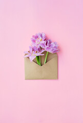 pink flower in a letter at envelope
