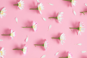 Beautiful flowers composition, pattern. Flowers on pastel pink background. Valentines Day, Easter, Happy Women's Day, Mother's day. Flat lay, top view, copy space