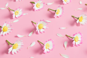 Beautiful flowers composition, pattern. Flowers on pastel pink background. Valentines Day, Easter, Happy Women's Day, Mother's day. Flat lay, top view, copy space