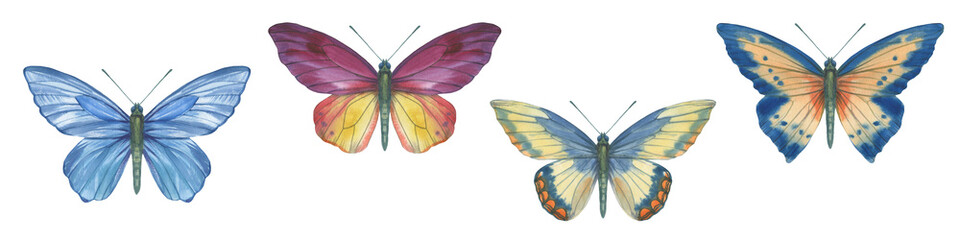 A set of bright, watercolor butterflies, isolated on a white background.