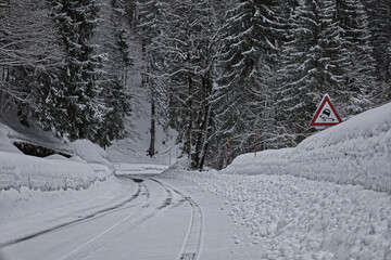 Winter Road, Switzerland
