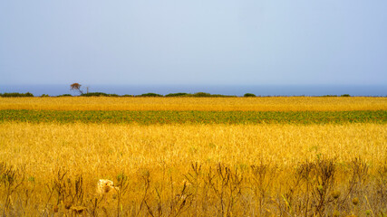 Coast of Salento near Otranto and Leuca at summer