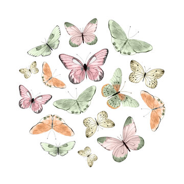 Watercolor illustrated butterflies