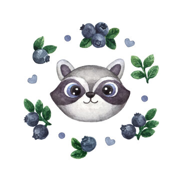 Nursery print with cute raccoon and blueberry. Woodland animal isolated on white background. Watercolor illustration in cartoon style for kids
