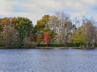 autumn landscape 