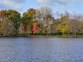 autumn landscape 