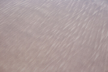 Baltic sea sand texture details near shore.