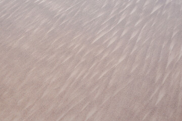 Baltic sea sand texture details near shore.
