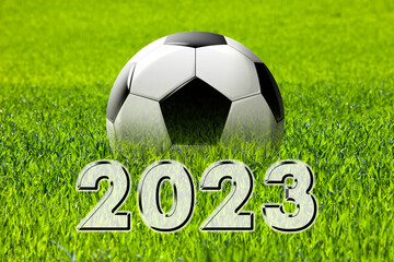 football_2023