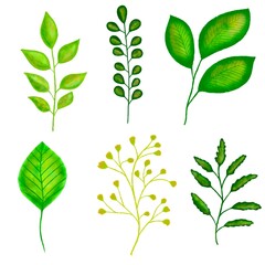 set of green leaves