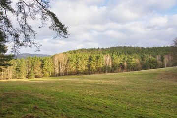 Wiese, Wald, Sonne, Bäume