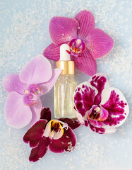 cosmetic oil with orchid flowers, spa, space for text, flat view, self care concept 