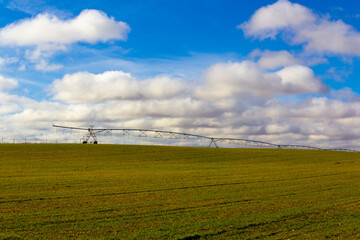 Cultivated cereal land with industrial sprinkler for irrigation. Selective focus. Copy space.