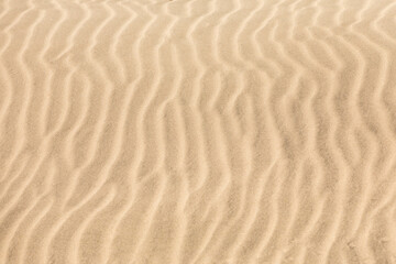 Fototapeta na wymiar Sand in der Wüste mit kleinen Wellen welche der Wind gezeichnet hat
