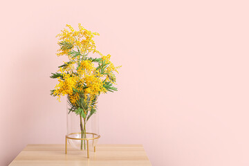 Vase with beautiful mimosa branches on table near color wall in room