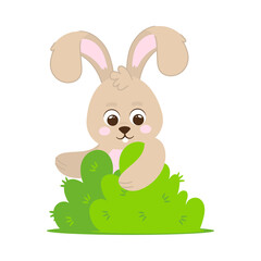 bunny in bush