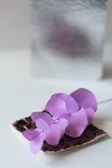 purple eucalyptus still life