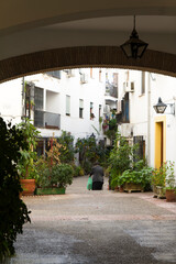 Naklejka premium Patio de Cordoba o Playground of Cordoba en la comunidad autonoma de Andalucia o Andalusia en el pais de España o Spain