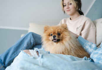 Süßer Hund Spitz sitzt auf der Sofa mit Kindern