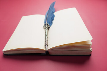 fountain pen and a open boon on ted background 