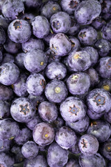 Fresh blueberries close up photography from above