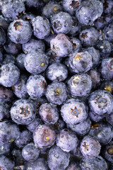 Fresh blueberries close up photography from above