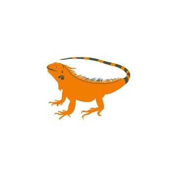 Iguano logo