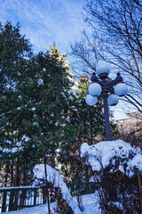 street lamp in the park