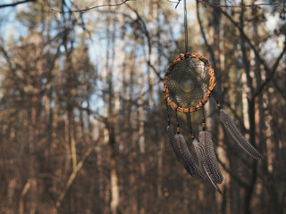 Dream catcher on a branch in the forest. Dream catcher on a branch in the forest. Indian Amulet