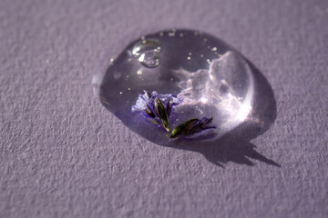 A drop of cosmetic gel with lavender flower on a purple background.