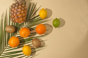 Summer tropical layout made with fresh fruit and palm leaves on pastel background. Minimal flat lay.