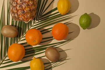 Summer tropical layout made with fresh fruit and palm leaves on pastel background. Minimal flat lay concept..