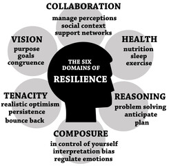 resilience domains