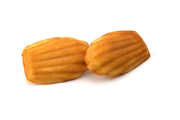 madeleines biscuits en gros plans sur fond blanc
