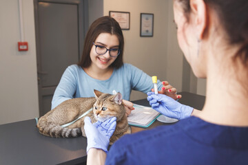 Owner hand over tube with test. Cat at reception in veterinarian clinic.