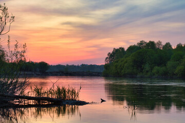 red bloody sunset over the river in summer