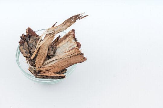 Arjun Chhal, Terminalia Arjuna Bark over isolated white background on Glass background