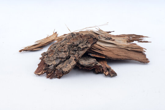 Arjun Chhal, Terminalia Arjuna Bark over isolated white background