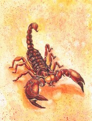 scorpion
