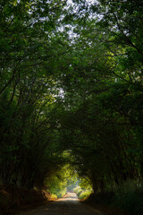 Monsenhor Paulo, Minas Gerais, Brasil: estrada entre Varginha e Monsenhor Paulo