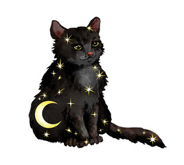 Black cat with stars. Watercolor animal with fantasy night image for sacred, astronomy, spiritual design - obrazy, fototapety, plakaty