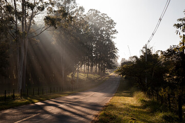 Obraz premium Campinas, São Paulo, Brasil: Pico das Cabras região do bairro de Joaquim Egídio 