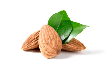 Almonds nut with leaves isolated on white background. They are highly nutritious and rich in healthy fats